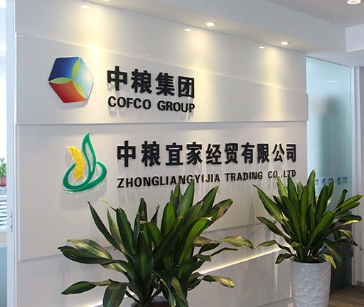 集團公司logo前臺形象墻設計