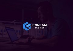 科技公司分藍科技品牌logo設計