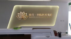枝蔓國際醫(yī)療整形美容logo設(shè)計