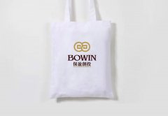 保盈投資金融公司logo欣賞