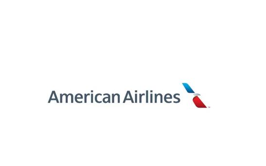 航空公司LOGO設計小集圖五