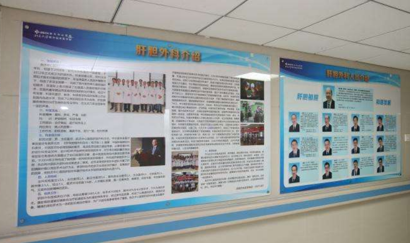 樹醫院文明新醫院文化墻