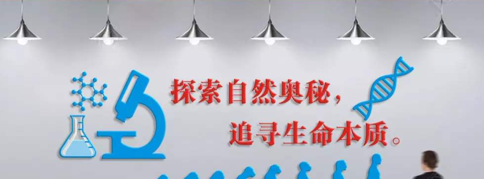 科學(xué)實(shí)驗(yàn)室3d立體墻貼科技館貼紙學(xué)校文化墻