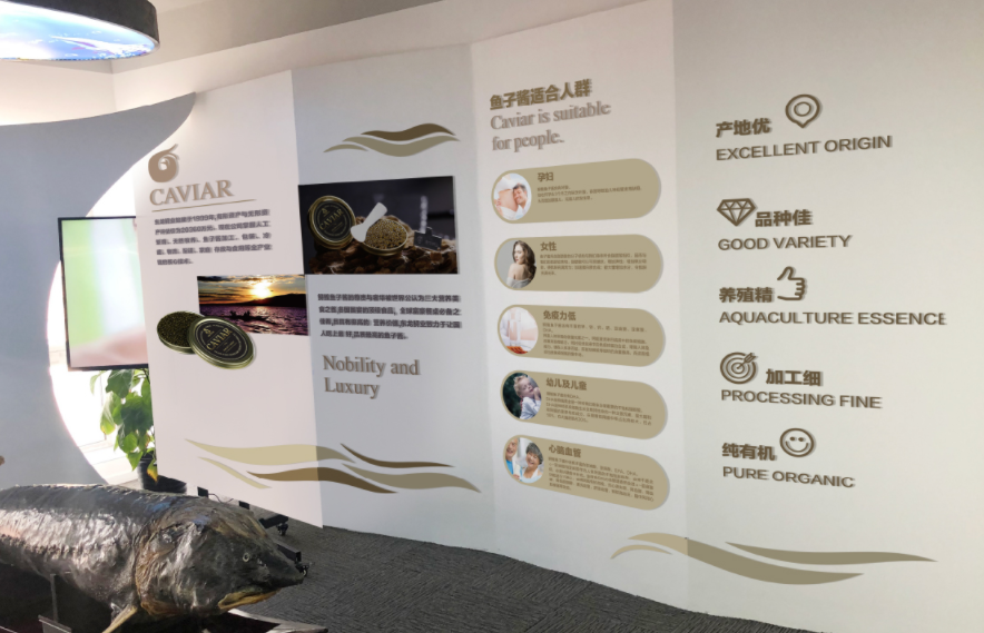 資本管理有限公司文化墻設計2