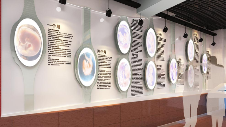 教育健康展廳文化墻3
