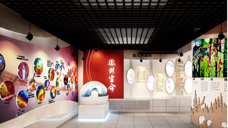 教育健康展廳文化墻2